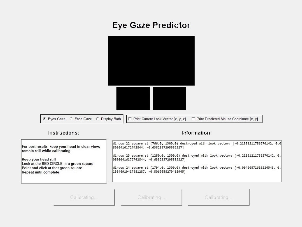 Image of Eye Gaze 1